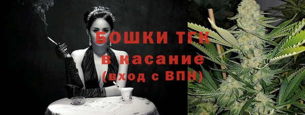 ПСИЛОЦИБИНОВЫЕ ГРИБЫ Алагир