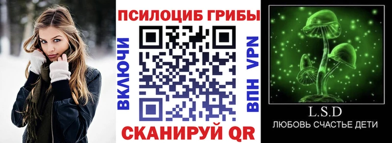 Галлюциногенные грибы прущие грибы Вытегра